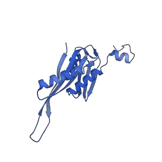 26486_7ug7_SE_v1-0
70S ribosome complex in an intermediate state of translocation bound to EF-G(GDP) stalled by Argyrin B