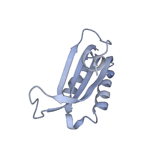 26486_7ug7_SF_v1-0
70S ribosome complex in an intermediate state of translocation bound to EF-G(GDP) stalled by Argyrin B