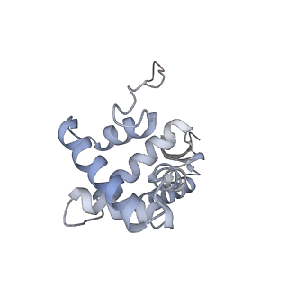 26486_7ug7_SG_v1-0
70S ribosome complex in an intermediate state of translocation bound to EF-G(GDP) stalled by Argyrin B