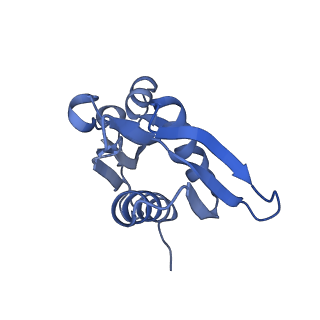 26486_7ug7_SH_v1-0
70S ribosome complex in an intermediate state of translocation bound to EF-G(GDP) stalled by Argyrin B