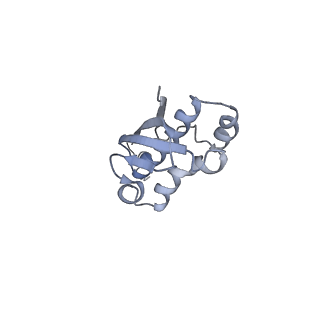 26486_7ug7_SI_v1-0
70S ribosome complex in an intermediate state of translocation bound to EF-G(GDP) stalled by Argyrin B