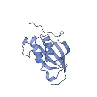 26486_7ug7_SK_v1-0
70S ribosome complex in an intermediate state of translocation bound to EF-G(GDP) stalled by Argyrin B