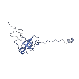 26486_7ug7_SL_v1-0
70S ribosome complex in an intermediate state of translocation bound to EF-G(GDP) stalled by Argyrin B
