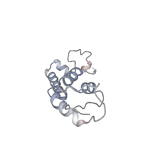 26486_7ug7_SM_v1-0
70S ribosome complex in an intermediate state of translocation bound to EF-G(GDP) stalled by Argyrin B