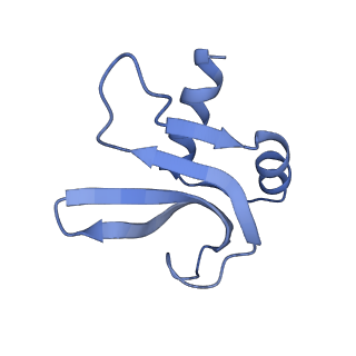 26486_7ug7_SP_v1-0
70S ribosome complex in an intermediate state of translocation bound to EF-G(GDP) stalled by Argyrin B