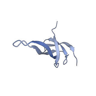 26486_7ug7_SQ_v1-0
70S ribosome complex in an intermediate state of translocation bound to EF-G(GDP) stalled by Argyrin B