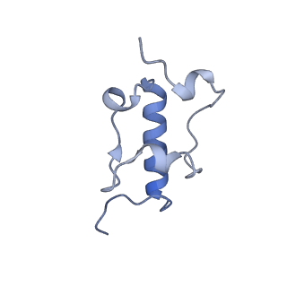26486_7ug7_SR_v1-0
70S ribosome complex in an intermediate state of translocation bound to EF-G(GDP) stalled by Argyrin B