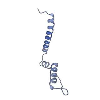 26486_7ug7_SU_v1-0
70S ribosome complex in an intermediate state of translocation bound to EF-G(GDP) stalled by Argyrin B