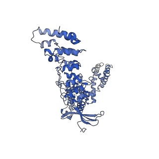 26488_7ugg_D_v1-0
Cryo-EM structure of TRPV3 in complex with the anesthetic dyclonine