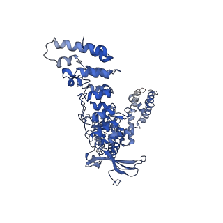 26488_7ugg_D_v1-1
Cryo-EM structure of TRPV3 in complex with the anesthetic dyclonine