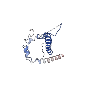 26492_7ugo_D_v1-0
Cryo-EM structure of BG24 inferred germline Fabs with mature CDR3s and 10-1074 Fabs in complex with HIV-1 Env immunogen BG505-SOSIPv4.1-GT1