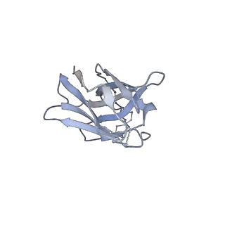 26492_7ugo_M_v1-0
Cryo-EM structure of BG24 inferred germline Fabs with mature CDR3s and 10-1074 Fabs in complex with HIV-1 Env immunogen BG505-SOSIPv4.1-GT1