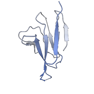26492_7ugo_P_v1-0
Cryo-EM structure of BG24 inferred germline Fabs with mature CDR3s and 10-1074 Fabs in complex with HIV-1 Env immunogen BG505-SOSIPv4.1-GT1