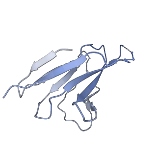 26492_7ugo_R_v1-0
Cryo-EM structure of BG24 inferred germline Fabs with mature CDR3s and 10-1074 Fabs in complex with HIV-1 Env immunogen BG505-SOSIPv4.1-GT1