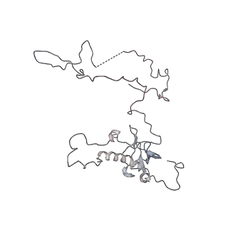 2938_4ug0_LE_v1-3
STRUCTURE OF THE HUMAN 80S RIBOSOME