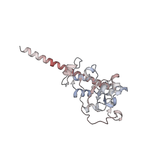 2938_4ug0_LF_v1-3
STRUCTURE OF THE HUMAN 80S RIBOSOME