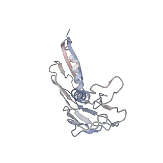 2938_4ug0_LH_v1-3
STRUCTURE OF THE HUMAN 80S RIBOSOME