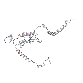 2938_4ug0_LL_v1-3
STRUCTURE OF THE HUMAN 80S RIBOSOME
