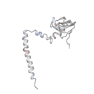 2938_4ug0_LM_v1-3
STRUCTURE OF THE HUMAN 80S RIBOSOME
