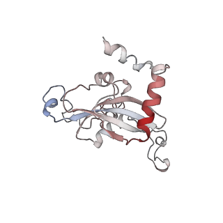 2938_4ug0_LN_v1-3
STRUCTURE OF THE HUMAN 80S RIBOSOME