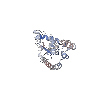 2938_4ug0_LO_v1-3
STRUCTURE OF THE HUMAN 80S RIBOSOME