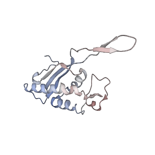 2938_4ug0_LP_v1-3
STRUCTURE OF THE HUMAN 80S RIBOSOME