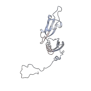 2938_4ug0_LS_v1-3
STRUCTURE OF THE HUMAN 80S RIBOSOME