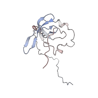 2938_4ug0_LT_v1-3
STRUCTURE OF THE HUMAN 80S RIBOSOME