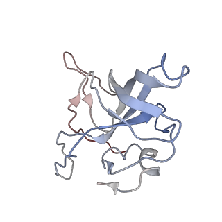 2938_4ug0_LV_v1-3
STRUCTURE OF THE HUMAN 80S RIBOSOME