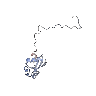 2938_4ug0_LX_v1-3
STRUCTURE OF THE HUMAN 80S RIBOSOME
