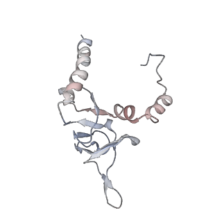 2938_4ug0_LY_v1-3
STRUCTURE OF THE HUMAN 80S RIBOSOME