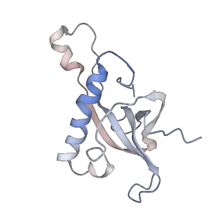 2938_4ug0_LZ_v1-3
STRUCTURE OF THE HUMAN 80S RIBOSOME