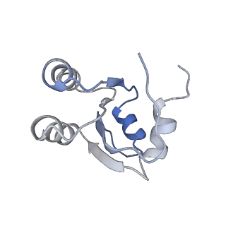 2938_4ug0_Lc_v1-3
STRUCTURE OF THE HUMAN 80S RIBOSOME