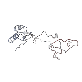 2938_4ug0_Le_v1-3
STRUCTURE OF THE HUMAN 80S RIBOSOME