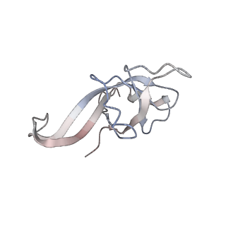 2938_4ug0_Lf_v1-3
STRUCTURE OF THE HUMAN 80S RIBOSOME