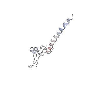 2938_4ug0_Lg_v1-3
STRUCTURE OF THE HUMAN 80S RIBOSOME