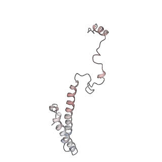 2938_4ug0_Lh_v1-3
STRUCTURE OF THE HUMAN 80S RIBOSOME