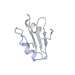 2938_4ug0_Lk_v1-3
STRUCTURE OF THE HUMAN 80S RIBOSOME