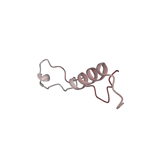 2938_4ug0_Ll_v1-3
STRUCTURE OF THE HUMAN 80S RIBOSOME
