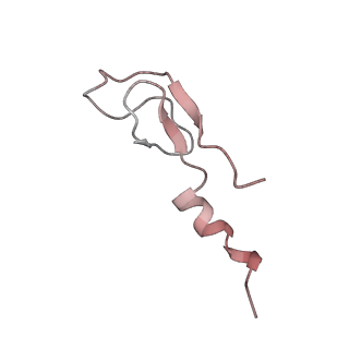2938_4ug0_Lm_v1-3
STRUCTURE OF THE HUMAN 80S RIBOSOME
