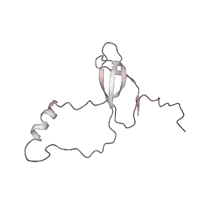 2938_4ug0_Lo_v1-3
STRUCTURE OF THE HUMAN 80S RIBOSOME