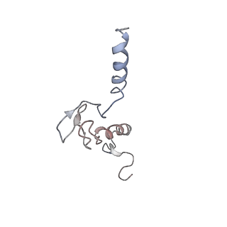 2938_4ug0_Lp_v1-3
STRUCTURE OF THE HUMAN 80S RIBOSOME