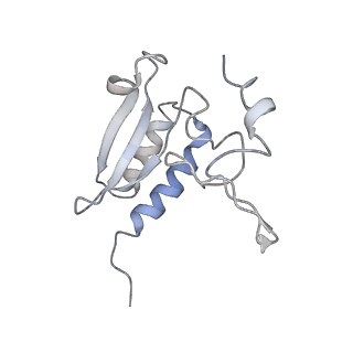 2938_4ug0_Lr_v1-3
STRUCTURE OF THE HUMAN 80S RIBOSOME