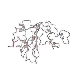 2938_4ug0_Lz_v1-3
STRUCTURE OF THE HUMAN 80S RIBOSOME