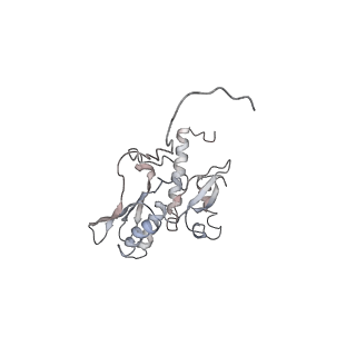 2938_4ug0_SD_v1-3
STRUCTURE OF THE HUMAN 80S RIBOSOME