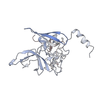 2938_4ug0_SE_v1-3
STRUCTURE OF THE HUMAN 80S RIBOSOME
