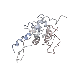 2938_4ug0_SF_v1-3
STRUCTURE OF THE HUMAN 80S RIBOSOME