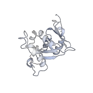 2938_4ug0_SH_v1-3
STRUCTURE OF THE HUMAN 80S RIBOSOME