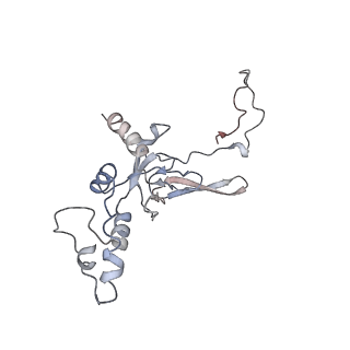 2938_4ug0_SI_v1-3
STRUCTURE OF THE HUMAN 80S RIBOSOME