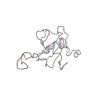 2938_4ug0_SM_v1-3
STRUCTURE OF THE HUMAN 80S RIBOSOME